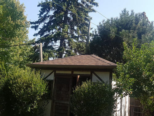 Shed roof complete - Mississauga