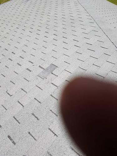 Shingle Replaced