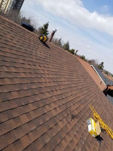 New Shingle Roof