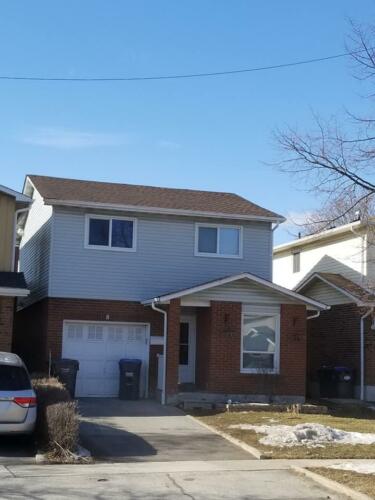 Shingle Roof Replacement